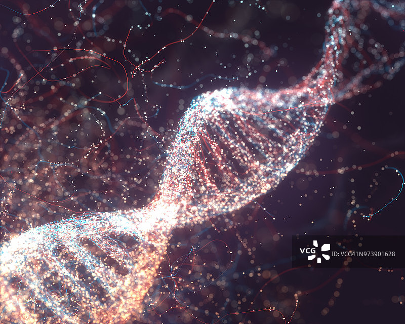 DNA分子、插图图片素材