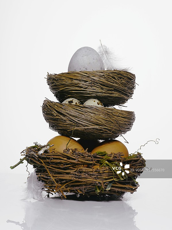 不同种类的巢有不同的蛋。图片素材