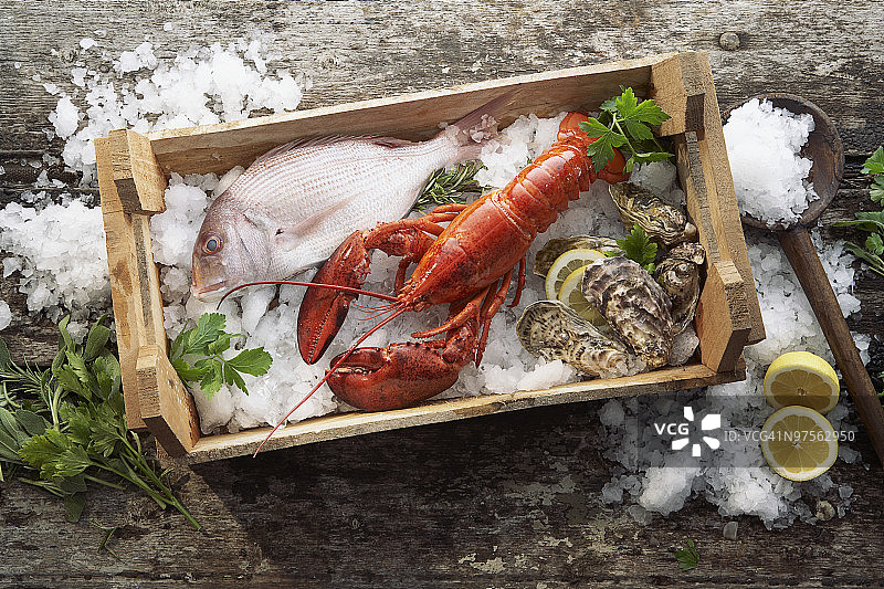 鱼、龙虾和牡蛎图片素材