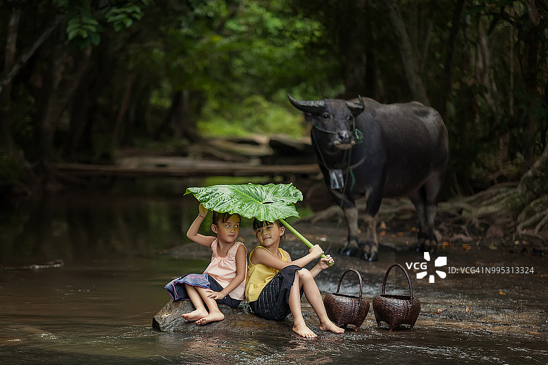 农村孩子们在雨季的清新。图片素材