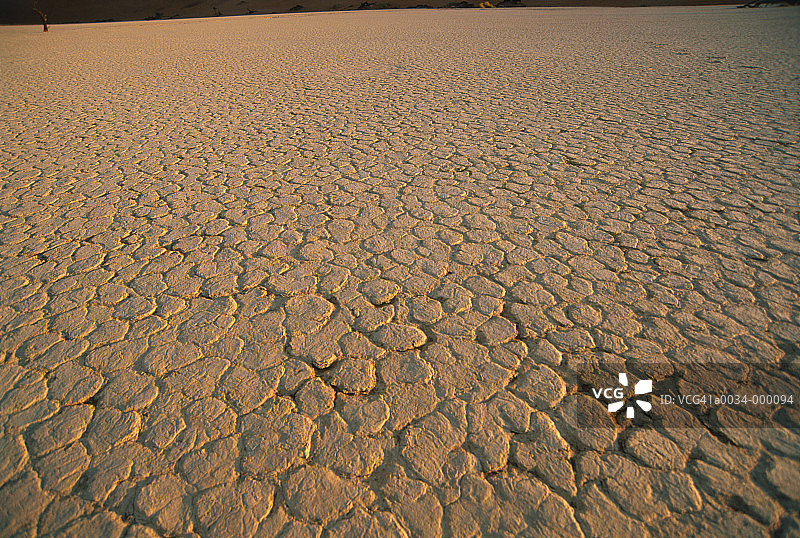 沙漠中的龟裂土地图片素材