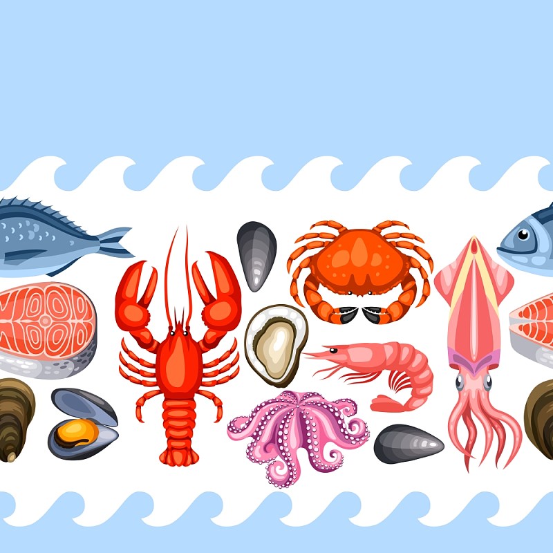无缝模式与各种海鲜。鱼，贝类和甲壳类的插图。图片下载
