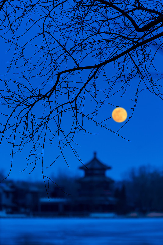 北京什刹海月夜图片下载