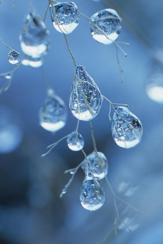 冻结的雨滴图片下载