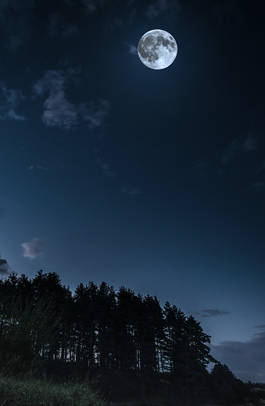 月亮和云在夜晚月光在森林复印水疗中心图片下载