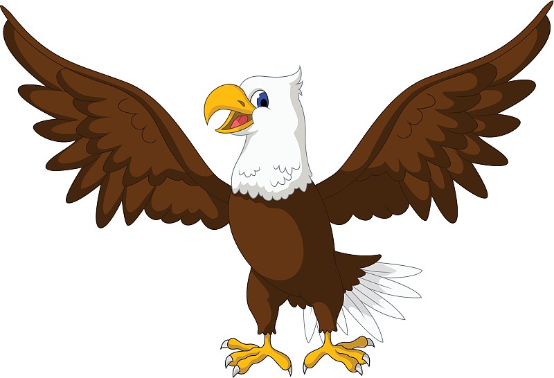 雏鹰展翅卡通图片图片