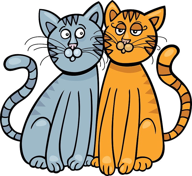 两只猫的动画片图片