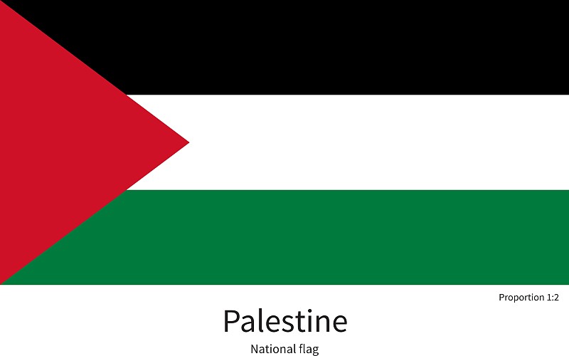 巴勒斯坦国旗图片图标图片