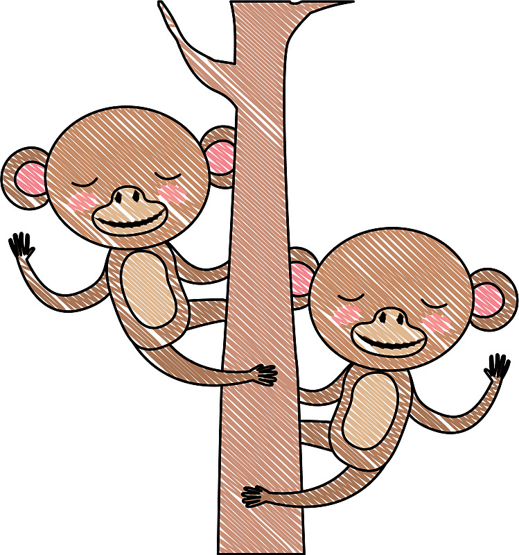 情侣之间的猴子上树图图片