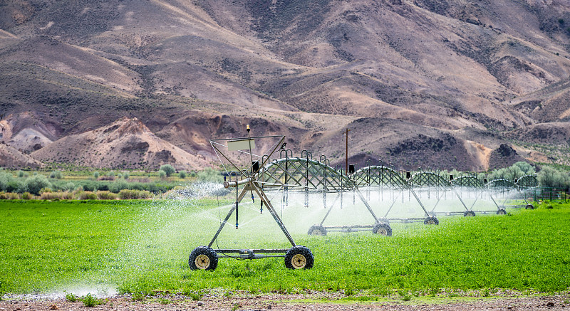 干旱农村农田的农业灌溉图片下载
