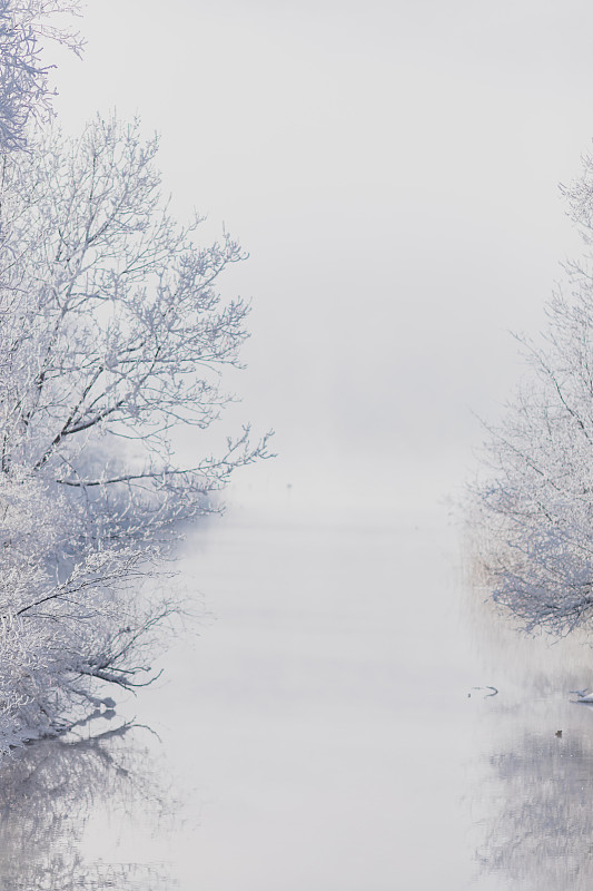 结霜的树木倒映在河里。冬季图片下载
