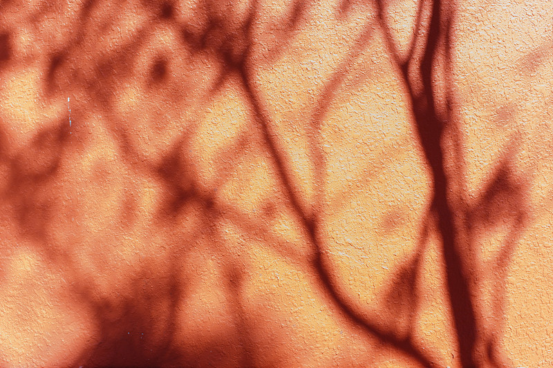 红墙上的树影纹理图片素材