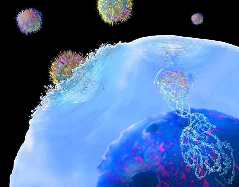 CAR - T细胞免疫治疗，说明图片下载
