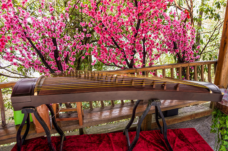 古筝乐器的背景上盛开着美丽的鲜花。它是中国古代的古典乐器图片下载