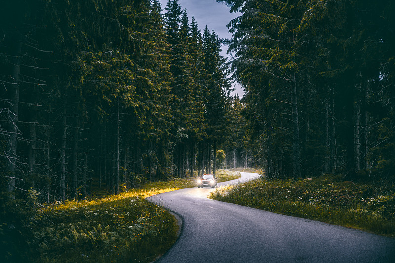 在瑞典斯马兰地区，一辆汽车在夜间行驶在森林里图片下载