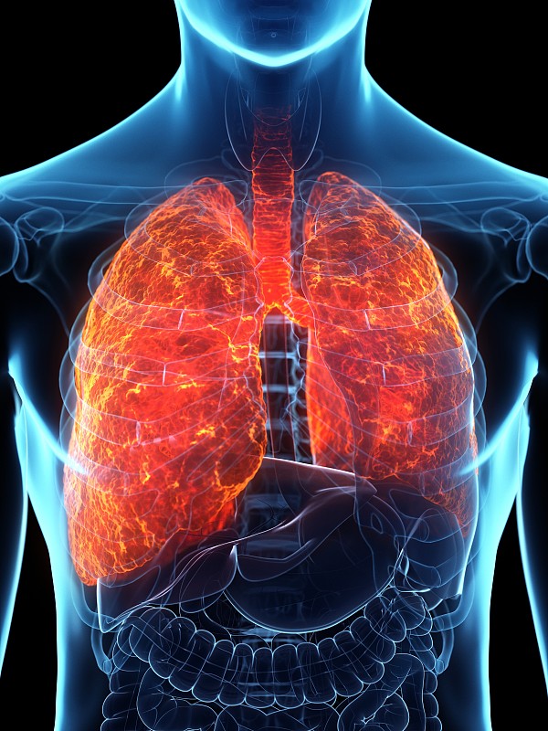 患病的肺，概念说明图片下载