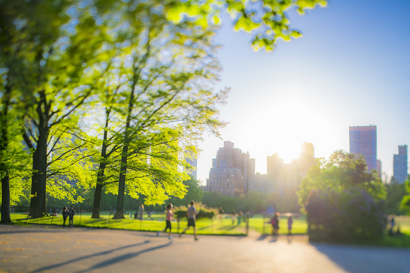 2019年5月11日，在美国纽约，中央公园的夕阳照亮了周围的建筑和树木。图片素材