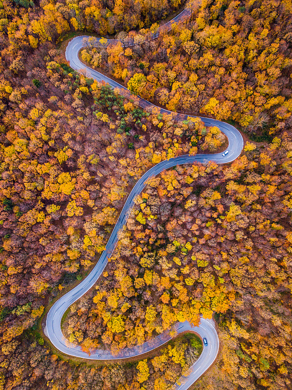 无人机:空中公路之旅——秋天森林里蜿蜒的道路图片下载