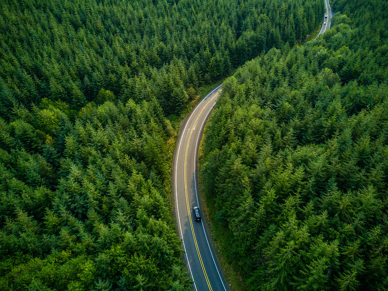 驾驶通过森林-鸟瞰图图片素材