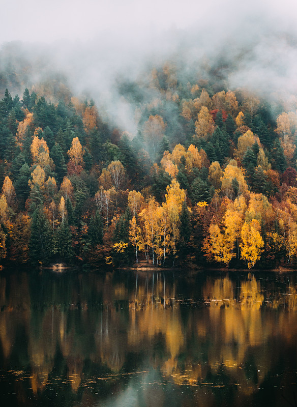 秋季森林湖泊风景图片素材