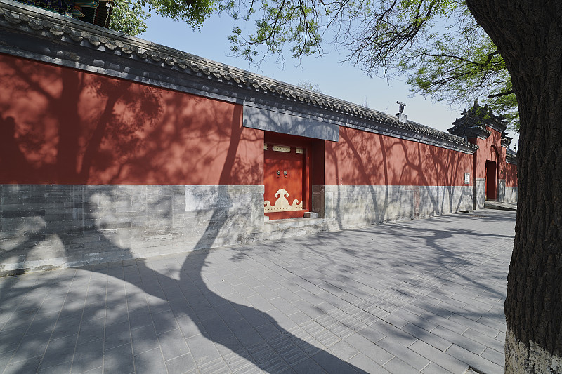 北京传统四合院和古树图片下载