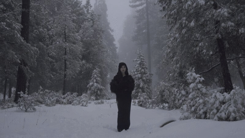 穆迪肖像兜帽女人在黑色衣服转头，而站在森林与飘落的雪图片下载
