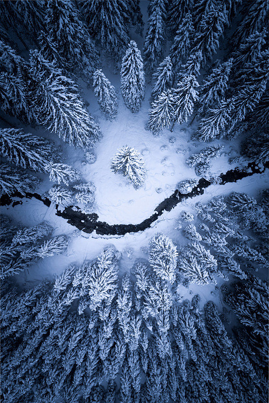 在奥地利弗拉肖的森林里，直接俯瞰冬天的河流图片下载
