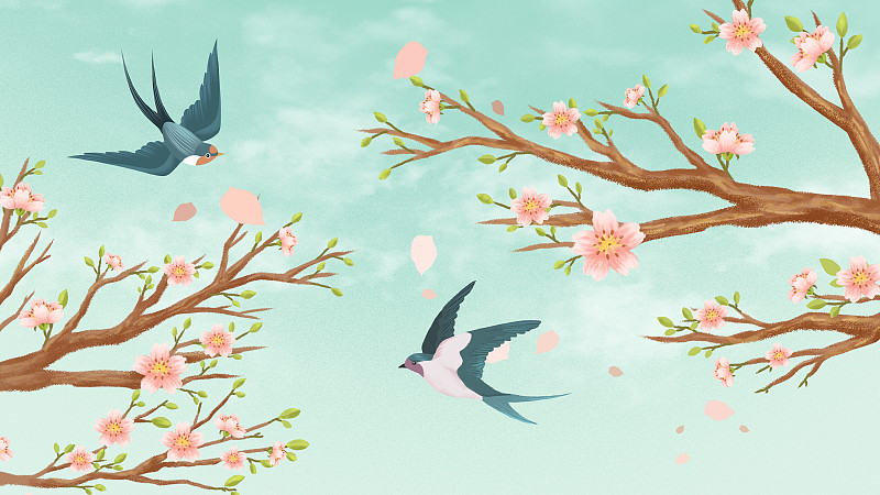 晴朗天空下的樱花和燕子图片下载