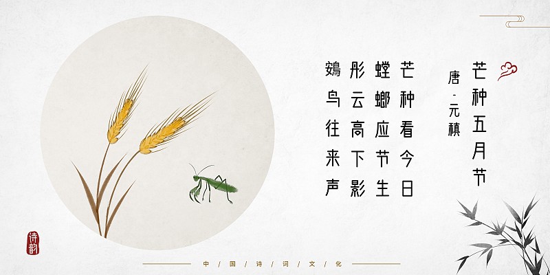 中国风古诗词插画展板芒种图片