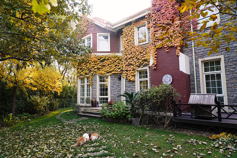 秋天私家别墅的庭院图片下载
