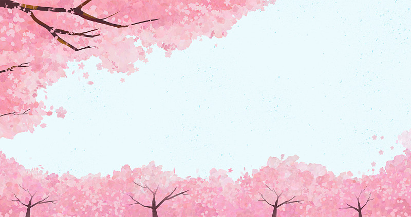开满樱花的樱花树林无字纯背景图片素材