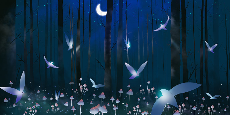 夜晚的神秘森林图片下载