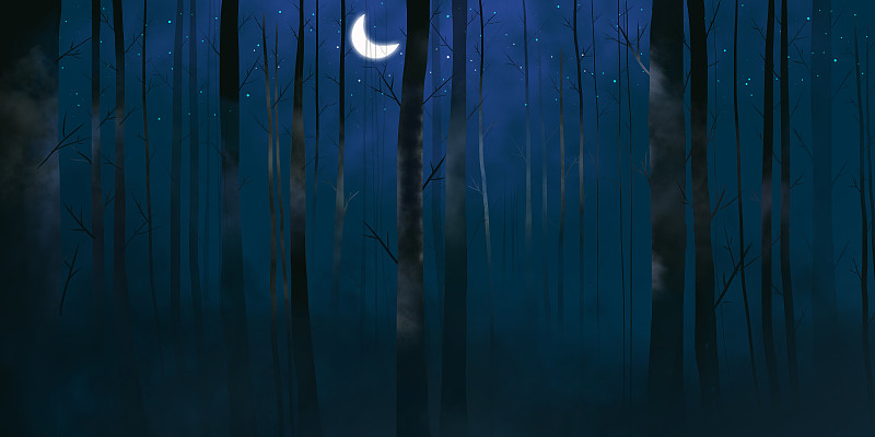 夜晚的神秘森林图片素材
