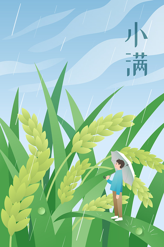 小满节气一个男生撑伞站在稻谷上图片素材