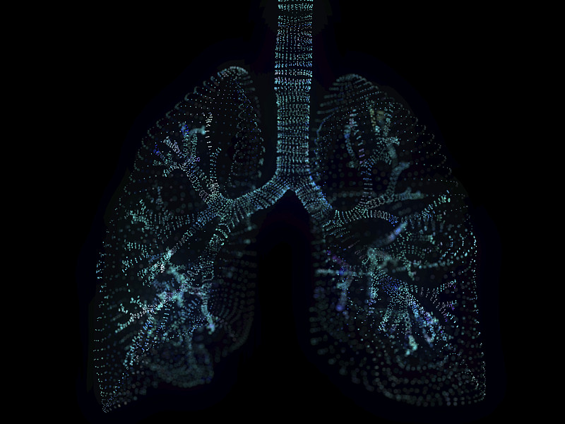 肺丛图解图片素材