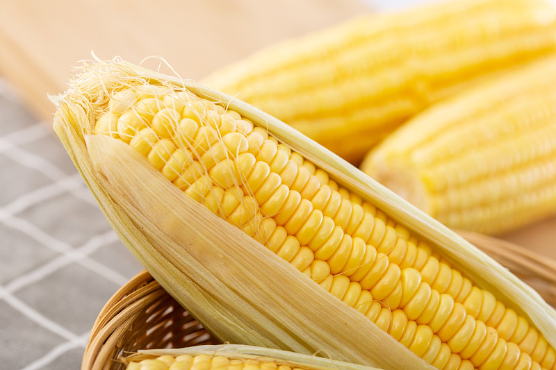 粮食玉米图片素材
