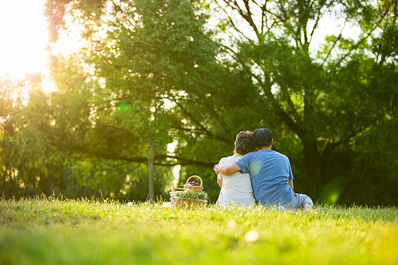 老年夫妻在户外公园野餐依偎在一起背影图片下载
