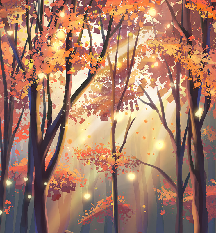 秋天的树林图片素材