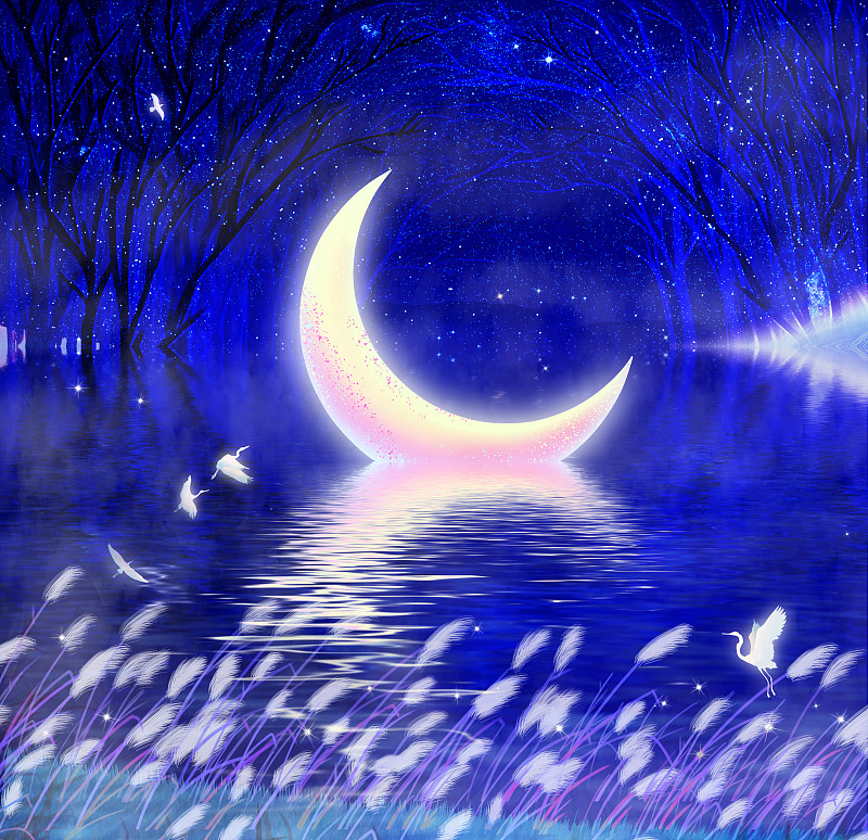 夜晚森林里月亮躺在湖面上形成倒影插画图片
