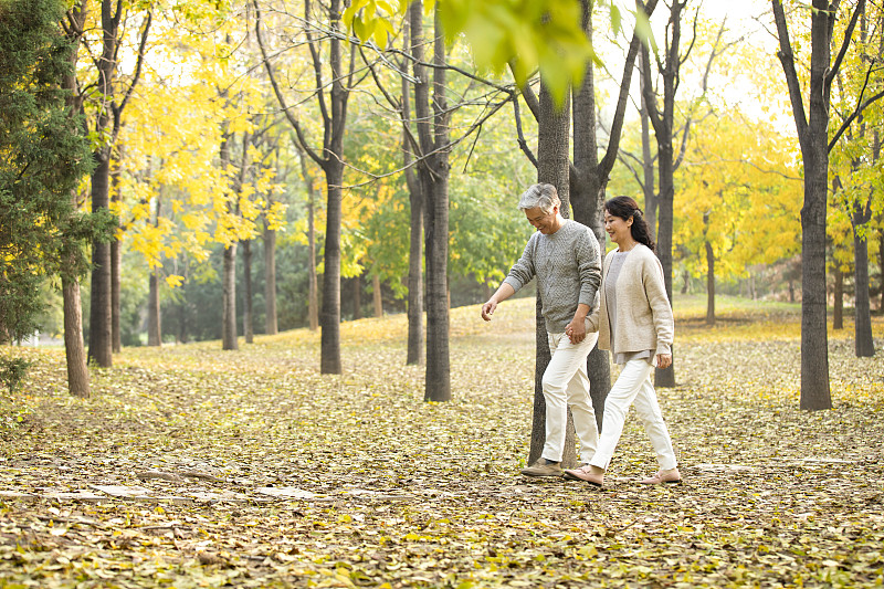 老年夫妇在树林里散步图片下载