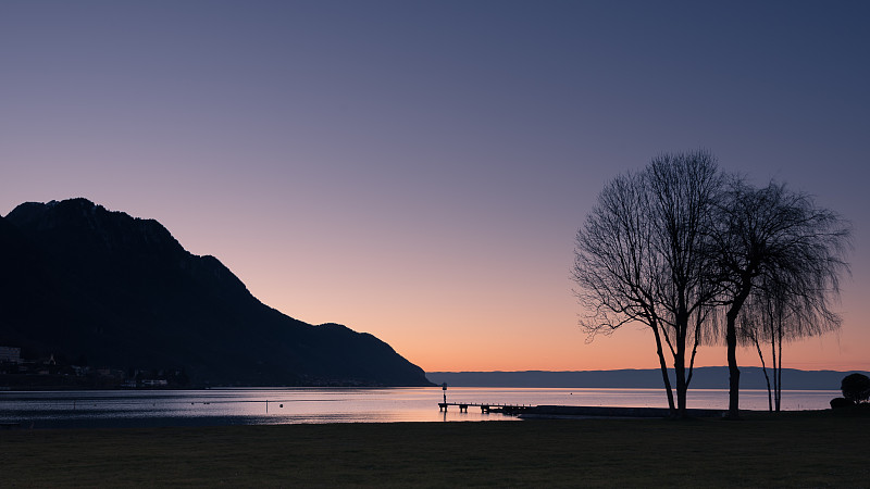 在瑞士洛桑，日落时，晴朗的天空映衬着海滩上树木的剪影图片素材