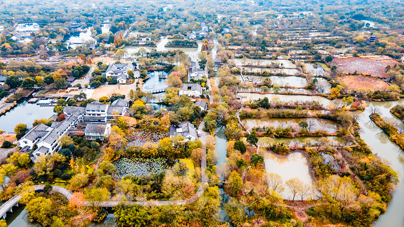 秋天的杭州西溪湿地公园图片下载