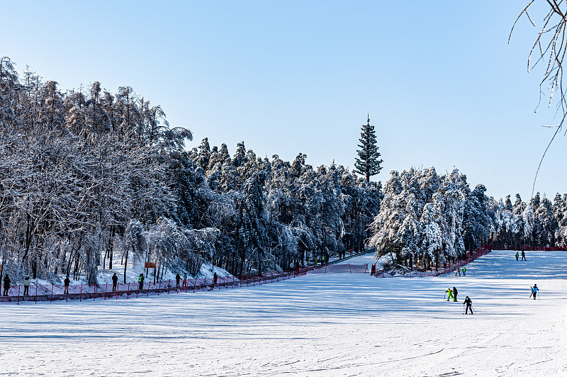 中国长春净月潭国家森林公园滑雪场和滑雪的人们图片素材