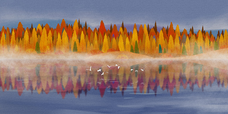 秋天，一群白鹭飞过河上的树林图片素材