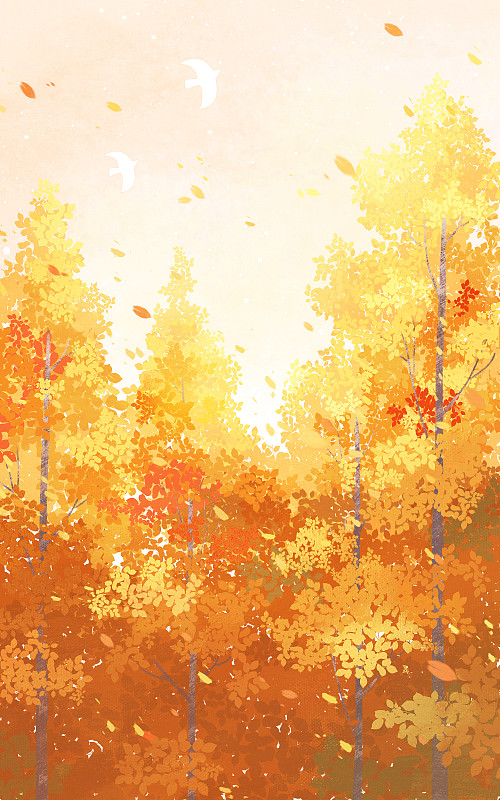 秋天节气插画图片