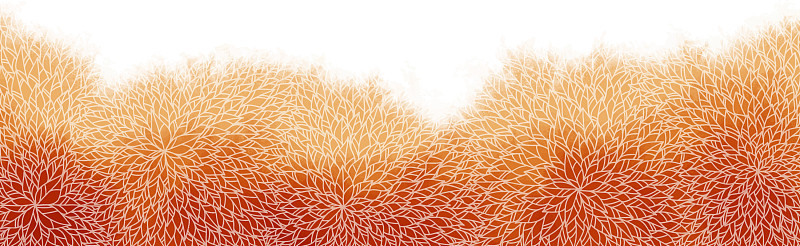 抽象秋天灌木树涂鸦框架水彩图片下载