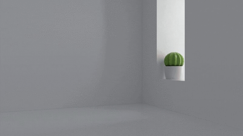 白色空房间与仙人球盆栽3D渲染图片下载
