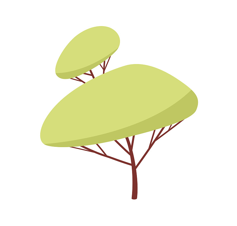 摘要落叶阔叶林树种木材观叶植物插画图片