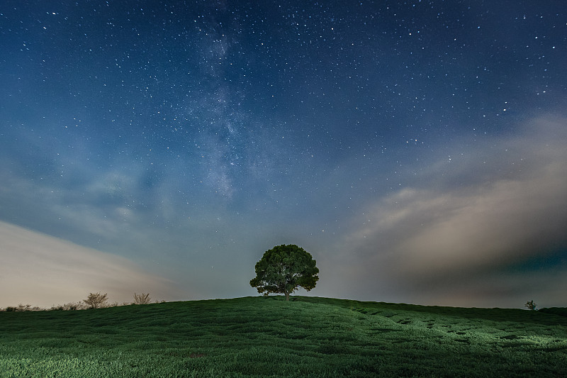 星空银河下的茶园一棵树图片下载