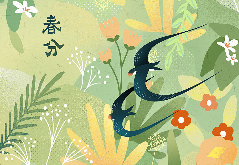 二十四节气春分燕子植物花朵插画下载